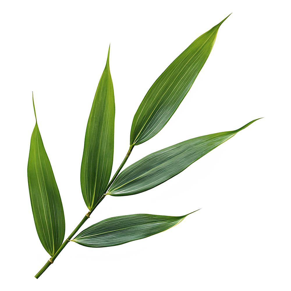 leaf left